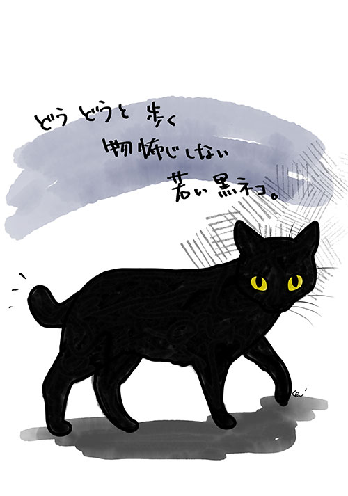 若い黒猫イラスト