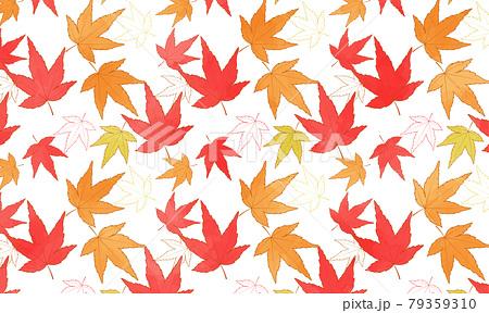 秋のカラフルな紅葉